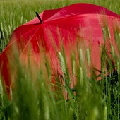Nel novarese l'estate meteorologica inizia con l'allerta gialla per temporali