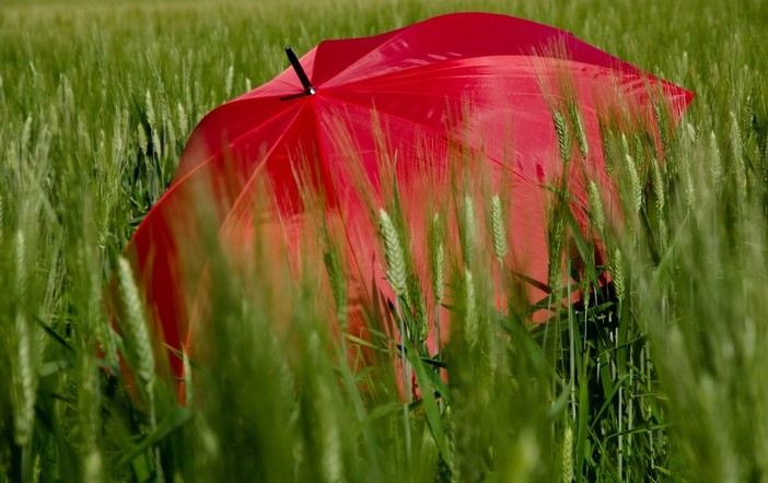 Nel novarese l'estate meteorologica inizia con l'allerta gialla per temporali