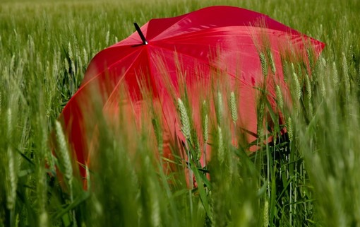 Nel novarese l'estate meteorologica inizia con l'allerta gialla per temporali Nel novarese l'estate meteorologica inizia con l'allerta gialla per temporali