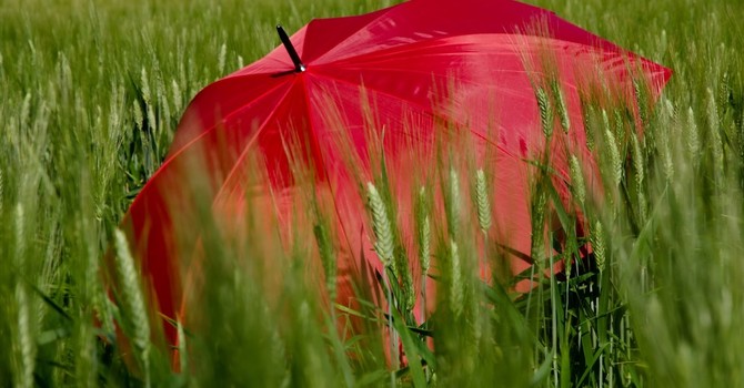 Nel novarese l'estate meteorologica inizia con l'allerta gialla per temporali Nel novarese l'estate meteorologica inizia con l'allerta gialla per temporali