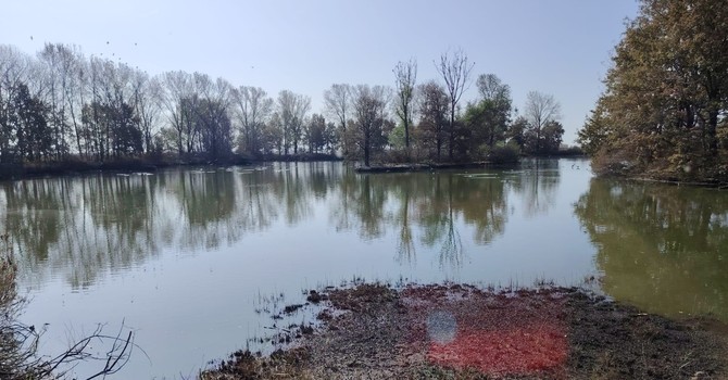 Casalbeltrame, un nuovo pozzo per l’oasi: autorizzata la trivellazione Casalbeltrame, un nuovo pozzo per l’oasi: autorizzata la trivellazione