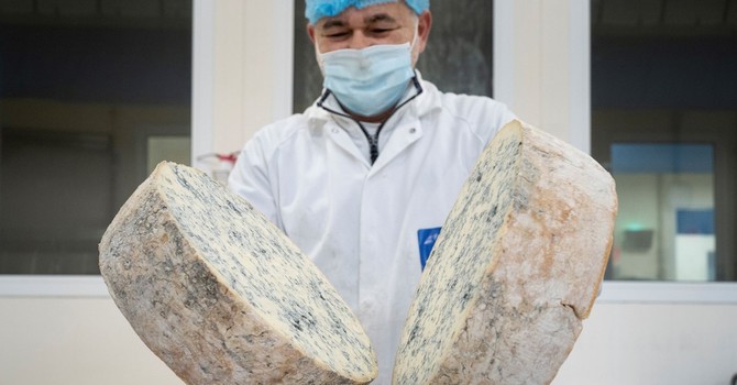 Gorgonzola Dop: il formaggio goloso a basso contenuto di sale VIDEO