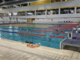 Tutto pronto per il 39° Meeting Nazionale di Nuoto “Città di Novara - Trofeo Ottavio Borzino”