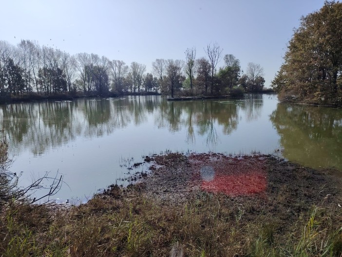 Casalbeltrame, porte aperte alla Palude per la stazione di inanellamento Casalbeltrame, porte aperte alla Palude per la stazione di inanellamento