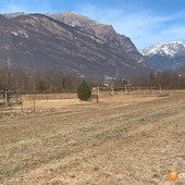 Siccità, il Piemonte avvia la richiesta dello stato di calamità naturale Siccità, il Piemonte avvia la richiesta dello stato di calamità naturale