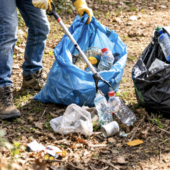 Bellinzago Novarese, torna la pulizia dei boschi