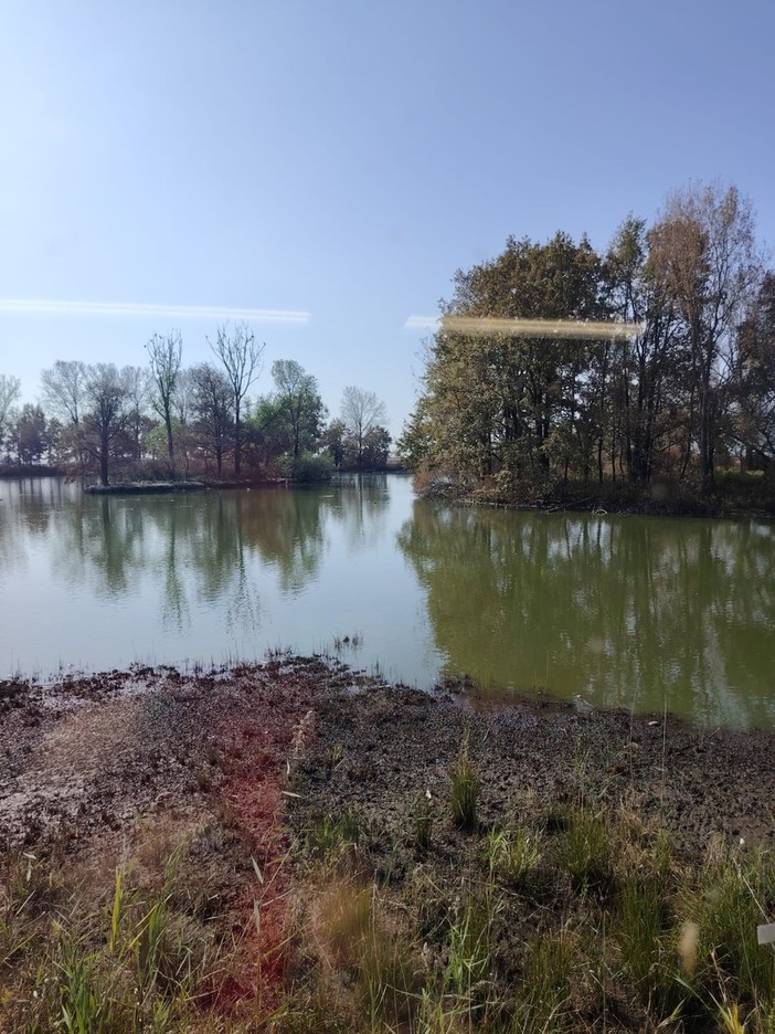 Alla palude di Casalbeltrame torna la stazione di inanellamento