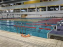 Tutto pronto per il 39° Meeting Nazionale di Nuoto “Città di Novara - Trofeo Ottavio Borzino”