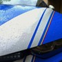 Novara, ruba prodotti per 300 euro al supermercato: arrestato un 23enne