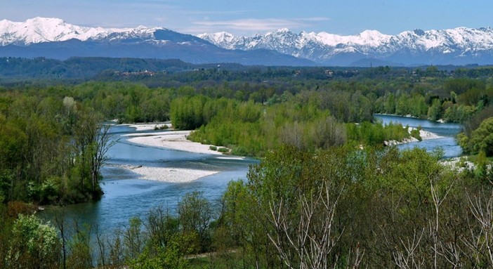 Pulizia del parco del Ticino