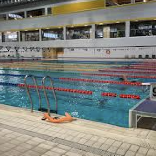Tutto pronto per il 39° Meeting Nazionale di Nuoto “Città di Novara - Trofeo Ottavio Borzino”