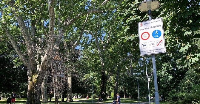 Sponsor cercasi per la cura delle aree verdi cittadine Sponsor cercasi per la cura delle aree verdi cittadine