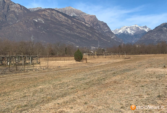 Il Piemonte chiede lo stato di calamità per siccità, Cirio: “Aiutiamo le produzioni agricole” VIDEO Il Piemonte chiede lo stato di calamità per siccità, Cirio: “Aiutiamo le produzioni agricole” VIDEO