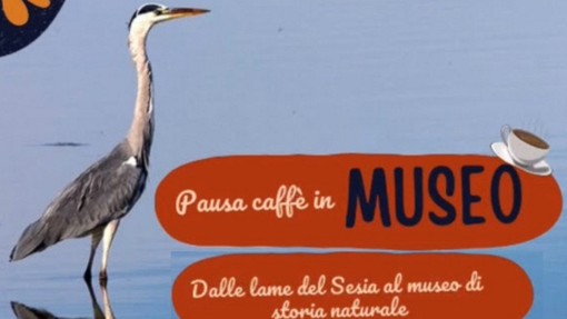 Esplorando il Museo: "Pausa caffè" tra le Curiosità Esplorando il Museo: "Pausa caffè" tra le Curiosità