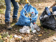 Bellinzago Novarese, torna la pulizia dei boschi