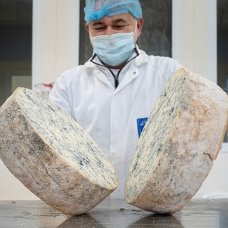 Gorgonzola Dop, produzione stabile nel 2026: cresce l’export verso Francia e Giappone
