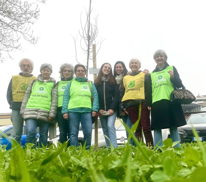 Novara Green e Legambiente promuovono la riforestazione cittadina