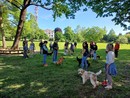 Successo per la &quot;Passeggiata a 6 Zampe&quot; a Borgomanero