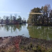 Alla palude di Casalbeltrame torna la stazione di inanellamento