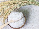 Coldiretti Piemonte: stop agevolazioni a riso birmano Coldiretti Piemonte: stop agevolazioni a riso birmano