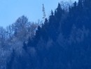 L'Unione degli Enti montani rilancia la mappatura delle aree senza segnale telefonico