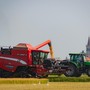 Oleggio, aperte le iscrizioni per la Fiera agricola del 1° maggio Oleggio, aperte le iscrizioni per la Fiera agricola del 1° maggio