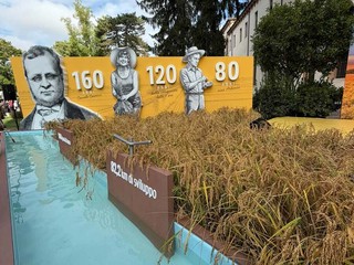 https://giornali02.esprimo.com/fileadmin/archivio/infovercelli24/2026/09/basilica.jpg https://giornali02.esprimo.com/fileadmin/archivio/infovercelli24/2026/09/basilica.jpg