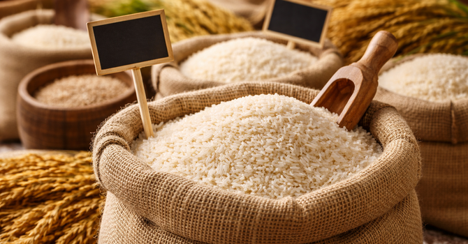 Mercato del riso in crisi: Coldiretti lancia l’allarme su prezzi e importazioni