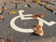Novara, operativa dal 29 settembre la nuova Garante delle persone con disabilità