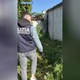Carpignano Sesia, scoperta una serra di marijuana in casa: arrestato 48enne VIDEO