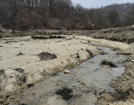 Siccità, l'appello di Acqua Novara Vco alla cittadinanza: "Uso responsabile e attento della risorsa idrica" Siccità, l'appello di Acqua Novara Vco alla cittadinanza: "Uso responsabile e attento della risorsa idrica"