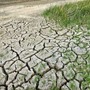 Coldiretti Piemonte: “Servono misure straordinarie per garantire acqua all’agricoltura, cresce il rischio siccità” Coldiretti Piemonte: “Servono misure straordinarie per garantire acqua all’agricoltura, cresce il rischio siccità”