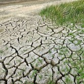 Coldiretti Piemonte: “Servono misure straordinarie per garantire acqua all’agricoltura, cresce il rischio siccità”