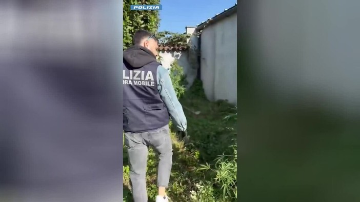 Carpignano Sesia, scoperta una serra di marijuana in casa: arrestato 48enne VIDEO