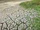 Coldiretti Piemonte lancia l'allarme: "I cambiamenti climatici mettono a rischio produzione e occupazione" Coldiretti Piemonte lancia l'allarme: "I cambiamenti climatici mettono a rischio produzione e occupazione"