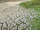 Coldiretti Piemonte lancia l'allarme: &quot;I cambiamenti climatici mettono a rischio produzione e occupazione&quot;