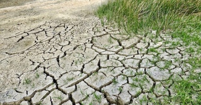 Coldiretti Piemonte: “Servono misure straordinarie per garantire acqua all’agricoltura, cresce il rischio siccità” Coldiretti Piemonte: “Servono misure straordinarie per garantire acqua all’agricoltura, cresce il rischio siccità”