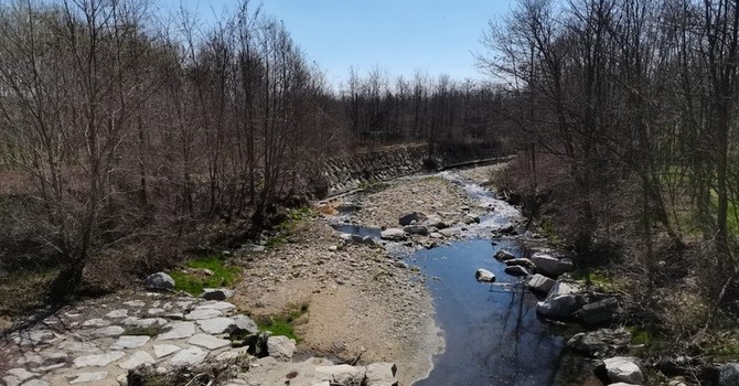 Coldiretti: “Bene il decreto sulle acque reflue, più risorse per l’agricoltura” Coldiretti: “Bene il decreto sulle acque reflue, più risorse per l’agricoltura”