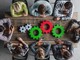 L'Università del Piemonte Orientale partecipa alla terza edizione di "Coopstartup Piemonte" L'Università del Piemonte Orientale partecipa alla terza edizione di "Coopstartup Piemonte"
