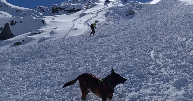 Neve sulle montagne piemontesi: il Soccorso Alpino anticipa l'attivazione dell'unità cinofila da valanga