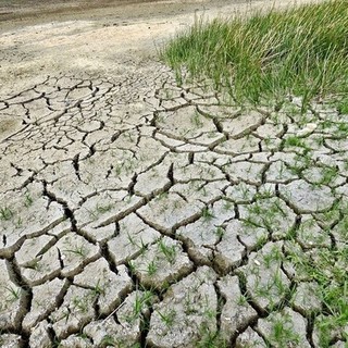 Coldiretti Piemonte: “Servono misure straordinarie per garantire acqua all’agricoltura, cresce il rischio siccità”
