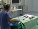 Cure oncologiche ridotte con la pandemia, Fagioli: “Entro metà anno si dovrebbe recuperare il pregresso”