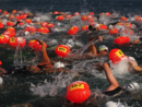 Torna la 31ª Traversata Angera-Arona