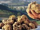Dal 1° ottobre la “cerca” del tartufo Dal 1° ottobre la “cerca” del tartufo