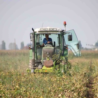 Coldiretti Piemonte: "Altri 3 miliardi per l'agricoltura dal Pnrr"