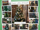 Trecate: domenica 19 gennaio la premiazione del contest “Alberi di Natale”.