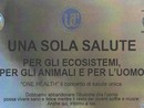 Il convegno &quot;Una sola salute&quot; per esplorare legami tra ecosistemi, animali e umanità