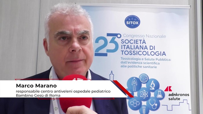 Estate: tossicologo Marano, 'morso di vipera raro, ma pericoloso per i bambini' Estate: tossicologo Marano, 'morso di vipera raro, ma pericoloso per i bambini'