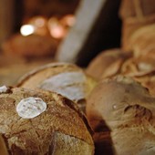 Il pane di Oropan sulla via della sostenibilità arriva in 26 paesi del mondo