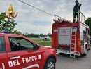 Auto ribaltata sulla provinciale tra Oleggio e Marano Ticino: il conducente elitrasportato in ospedale Auto ribaltata sulla provinciale tra Oleggio e Marano Ticino: il conducente elitrasportato in ospedale